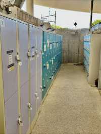 鳥取花迴廊 免費接駁與置物櫃攻略