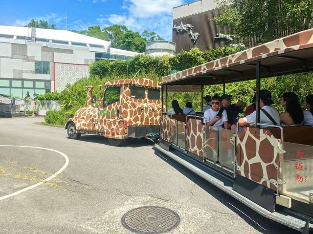台北親子游必看動物園攻略✨台中市動物園