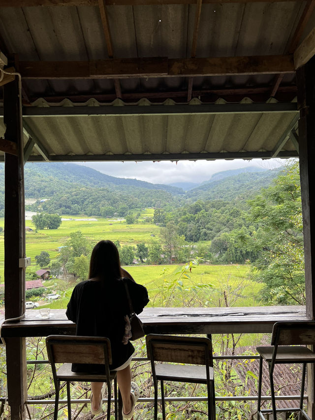 📍ที่พักเชียงใหม่ สงบ วิวทุ่งนาเขียวขจี สวยม๊าก 👍 📍ที่พักเชียงใหม่ สงบ วิวทุ่งนาเขียวขจี สวยม๊าก 👍