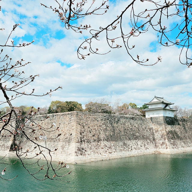 【大阪城賞櫻花攻略】櫻花季節、交通資訊＋必拍美照點