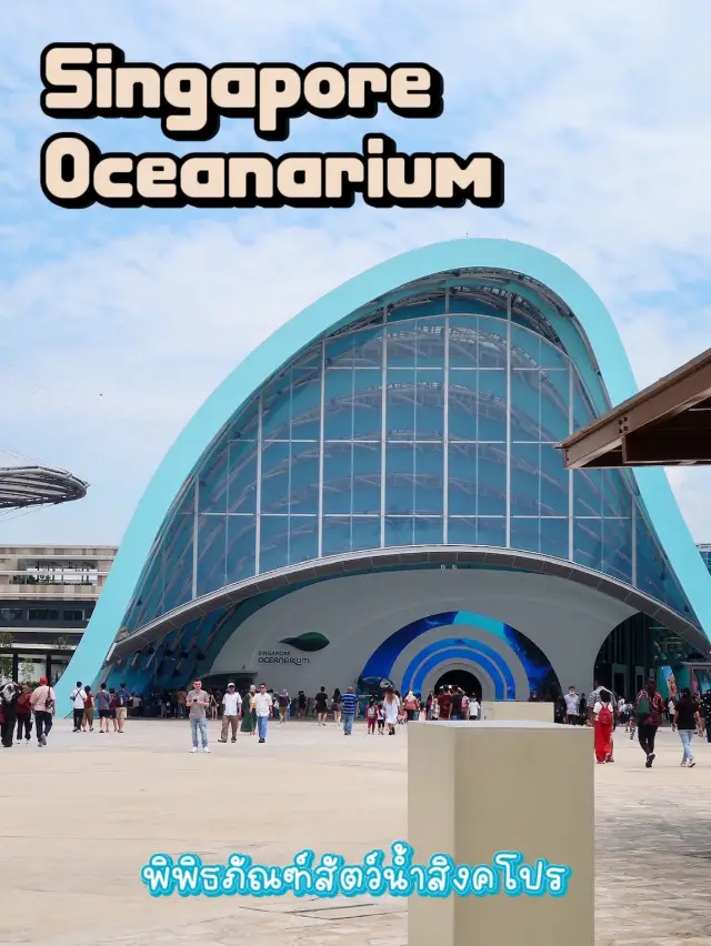 Singapore Oceanarium