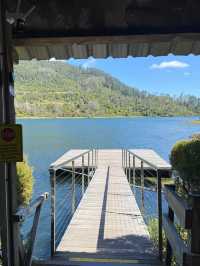 Nature’s Canvas: Exploring New Zealand’s Living Landscapes 
