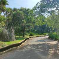 Putrajaya Lake + Botanical Garden 