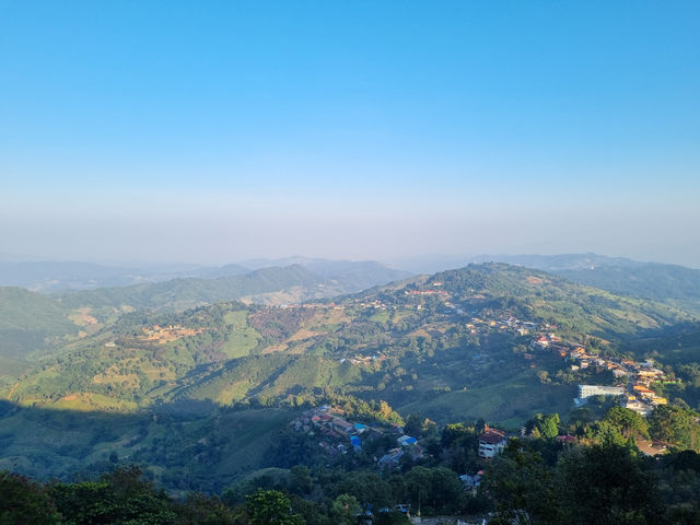 🌄 Mystical Mornings in Mae Salong