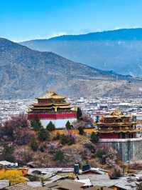 Dukezong Ancient Town – Blossom Beauty at 3,300m 🌸