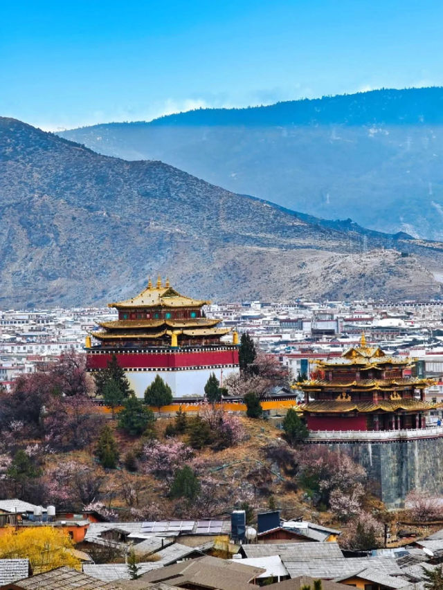 Dukezong Ancient Town – Blossom Beauty at 3,300m 🌸