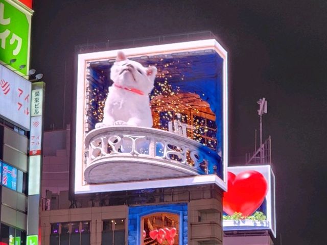 Tokyo Magic & Memories ✨