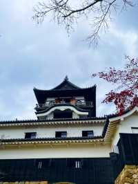 躲過戰火的現存最古老木造天守閣--愛知犬山城