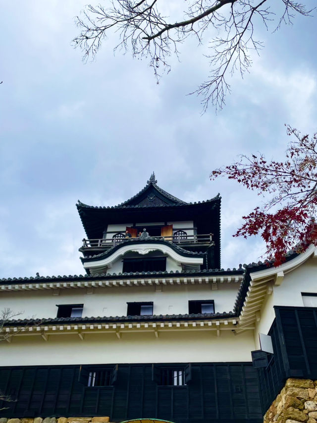 躲過戰火的現存最古老木造天守閣--愛知犬山城