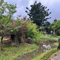 🌸⛰️ Yangming Park – The Heart of Yangmingshan 🌳✨