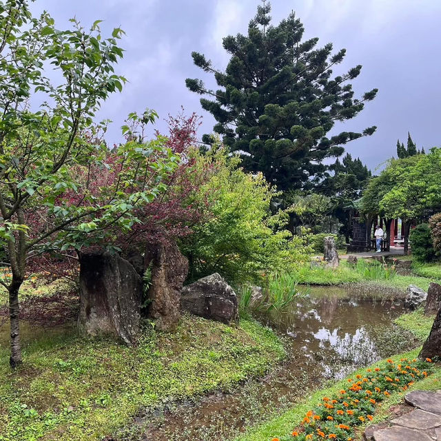 🌸⛰️ Yangming Park – The Heart of Yangmingshan 🌳✨