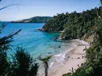 Rakiura Tracks Retreat