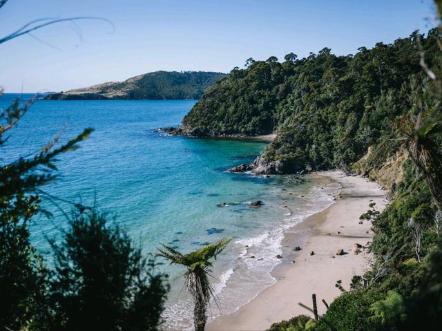 Rakiura Tracks Retreat