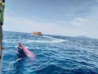 我知道有一天,你一定會愛上這裡-馬來西亞熱浪島