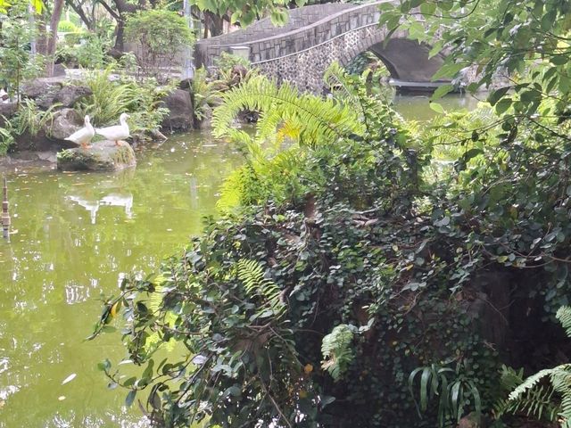 228公園 228公園
