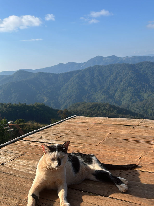 ห๊วยกุ๊บกั๊บ⛰️🌳