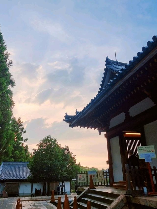 세계 최대 목조건축물을 만나다, 일본 나라 동대사