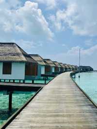 Paradise at Pullman Maldives 