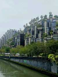 Tian An 1,000 Trees
