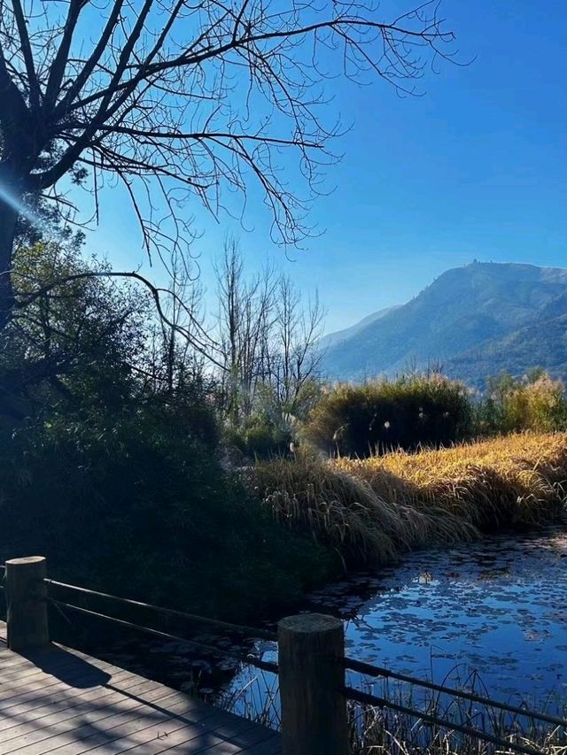 Sunny Lake Escape☀️