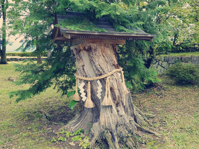The Samurai's Country Seat: My Solo Visit to Sasayama Castle, Hyōgo