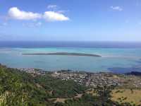 Ebony Forest Reserve Mauritius - Lovable tress on earth