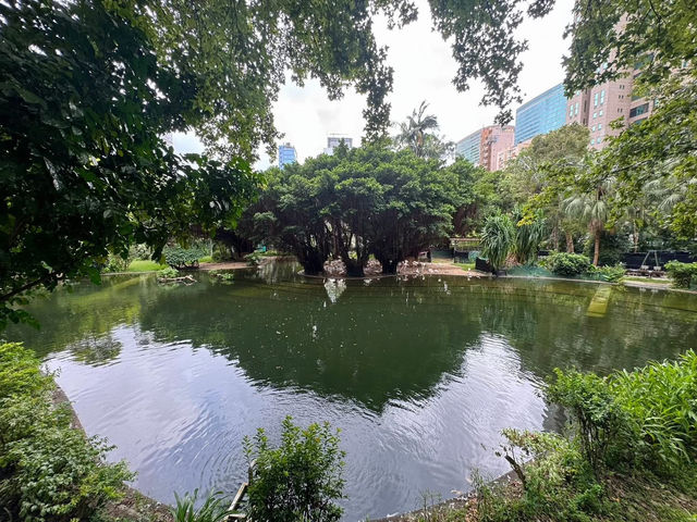 Where Dragon's Pulse Meets Planned Peace