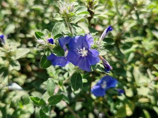 ทัวร์สู่สวรรค์: ชมฟาร์มแห่งความสุข