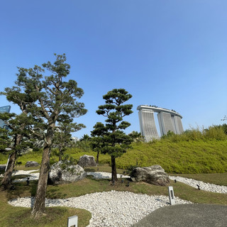 漫步濱海灣花園