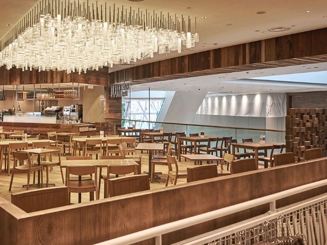 🍽️ Changi Airport: A Global Foodie Destination! 🇸🇬✈️