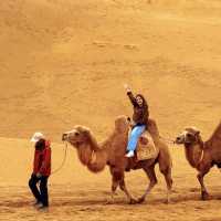 ขี่อูฐในทะเลทรายร้องเพลง