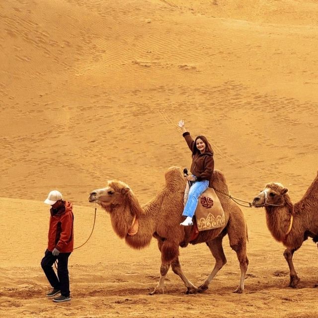 ขี่อูฐในทะเลทรายร้องเพลง