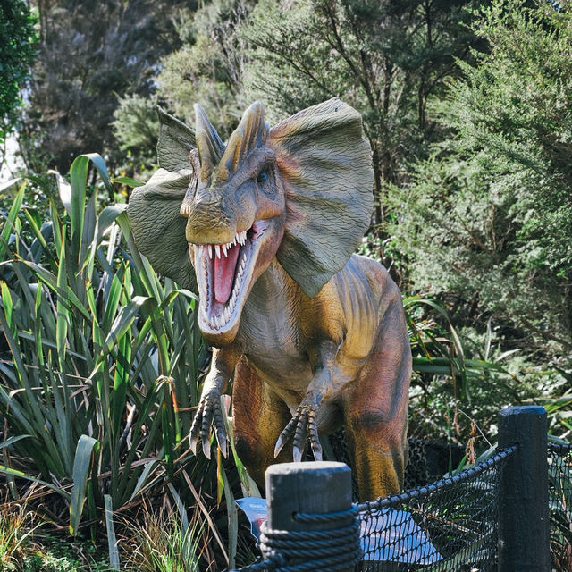 เที่ยว Butterfly Creek มุมธรรมชาติในโอ๊คแลนด์ เที่ยว Butterfly Creek มุมธรรมชาติในโอ๊คแลนด์