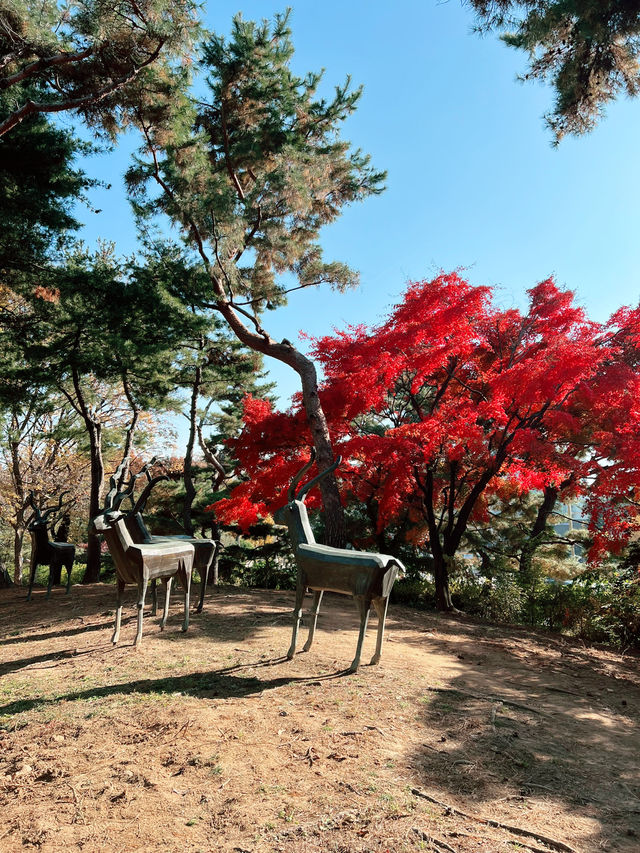 🌳올림픽공원 산책길