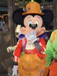 【保存版】上海ディズニー完全攻略ガイド🏰🧚✨