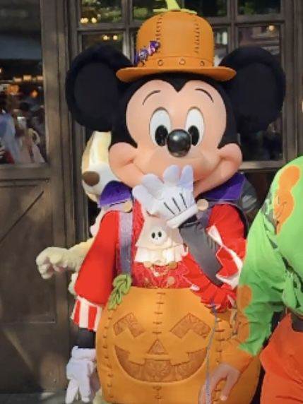 【保存版】上海ディズニー完全攻略ガイド🏰🧚✨ 【保存版】上海ディズニー完全攻略ガイド🏰🧚✨