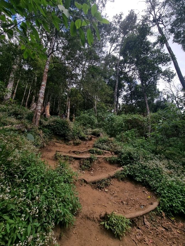 Vibrant Day Out🌸 Vibrant Day Out🌸