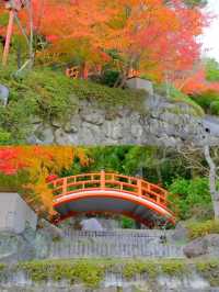 京都小眾賞楓秘境|正法寺禪意紅葉之旅🍁