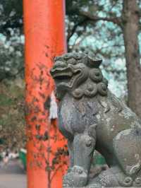 【奈良市】学問の神様も歌を詠んだ紅葉名所『手向山八幡宮』