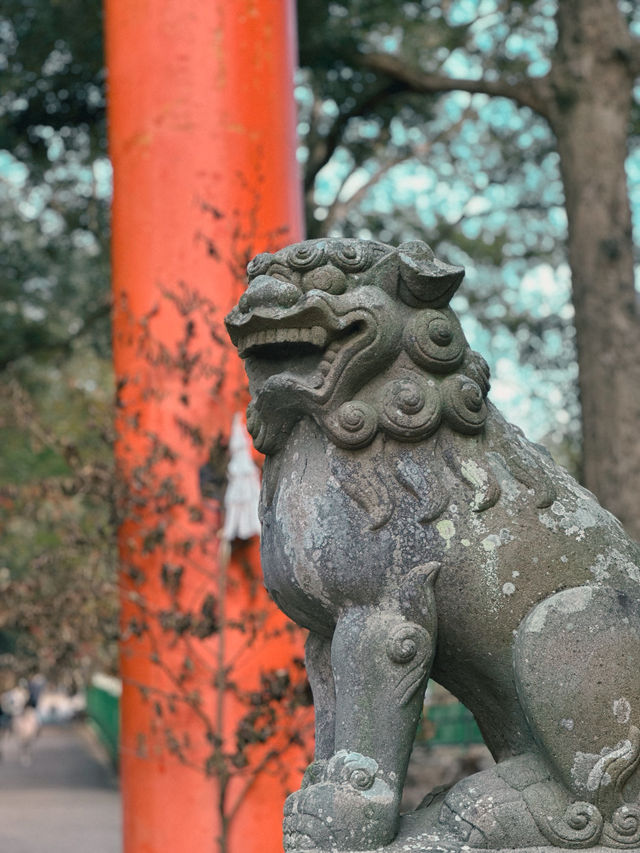 【奈良市】学問の神様も歌を詠んだ紅葉名所『手向山八幡宮』