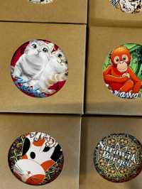 Waterfront Secrets🌙