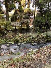 白川水源的清甜讓我懷疑人生——秋天喝到真正“活著的水”✨💧 ——舀湧泉倒進瓶子直接喝,乾淨到不科學;連用這裡的水做的醬油都香得太誇張