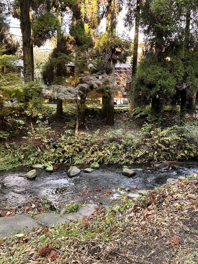 白川水源的清甜讓我懷疑人生——秋天喝到真正“活著的水”✨💧 ——舀湧泉倒進瓶子直接喝,乾淨到不科學;連用這裡的水做的醬油都香得太誇張 白川水源的清甜讓我懷疑人生——秋天喝到真正“活著的水”✨💧 ——舀湧泉倒進瓶子直接喝,乾淨到不科學;連用這裡的水做的醬油都香得太誇張