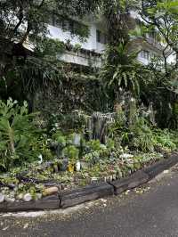 週末療癒提案！桃園雅聞魅力博覽館：迷迭香花園步道與玻璃屋植物探險 🌱