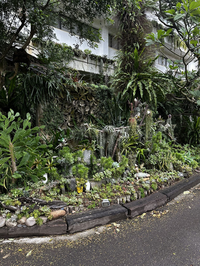 週末療癒提案！桃園雅聞魅力博覽館：迷迭香花園步道與玻璃屋植物探險 🌱
