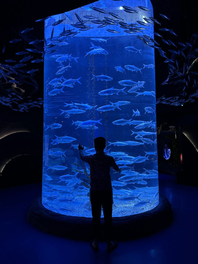 Aquarium Raksasa di Dalam Mall