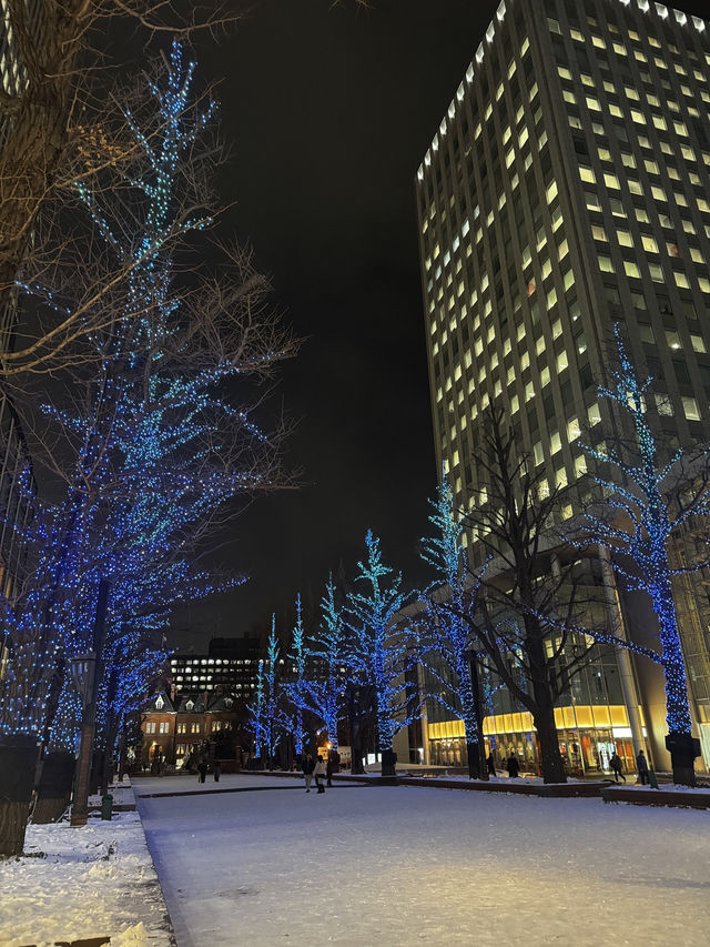 삿포로의 상징, 니카상과 만난 밤✨