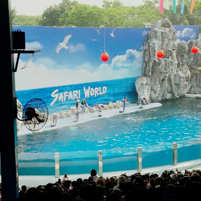Safari World Bangkok: A World-Class Wildlife Experience