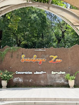 來認識恐龍的後裔吧！泗水動物園之旅（KBS）🐅