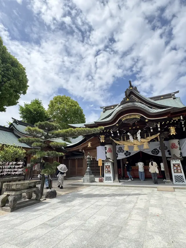 Little Blessings by the Shrine's Pond on a Sunny Day: Multiple Shrines in One | 1,000-Year-Old Couple Trees |.